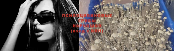 прущая мука Новозыбков