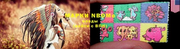 эйфоретик Няндома