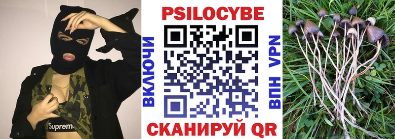 купить закладку  Мыски  Псилоцибиновые грибы прущие грибы 